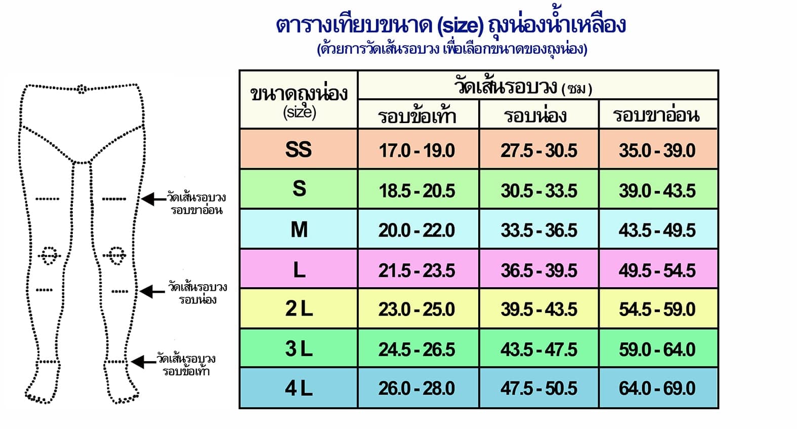 ตารางเทียบขนาดถุงน่องน้ำเหลือง