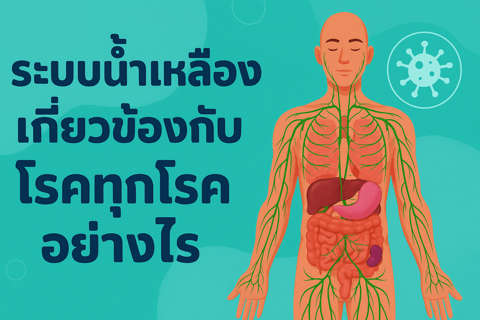 ระบบน้ำเหลืองเกี่ยวข้องกับโรคทุกโรคอย่างไร? โดยคุณหมอวิชัย เอกทักษิณ